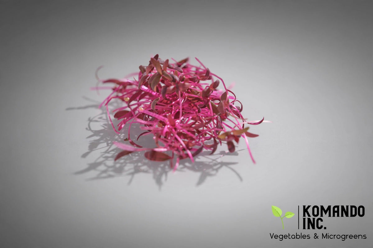 Red Amaranth Microgreens