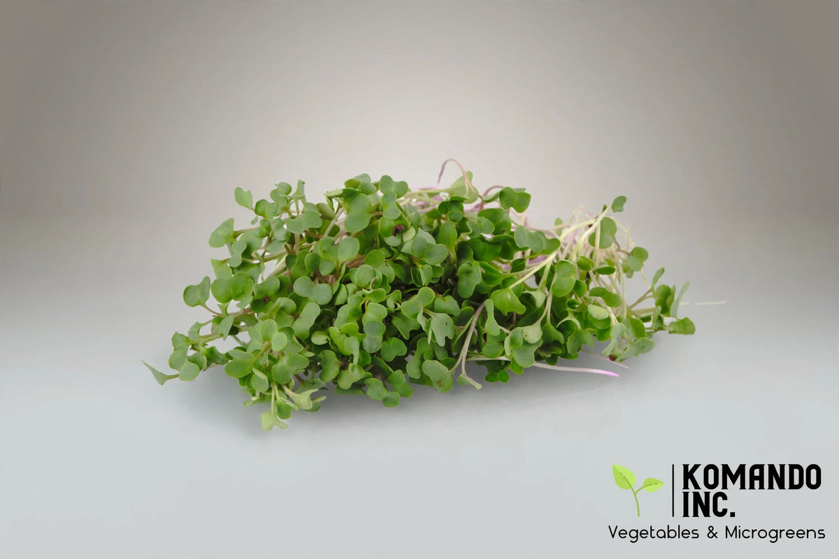 Broccoli Microgreens