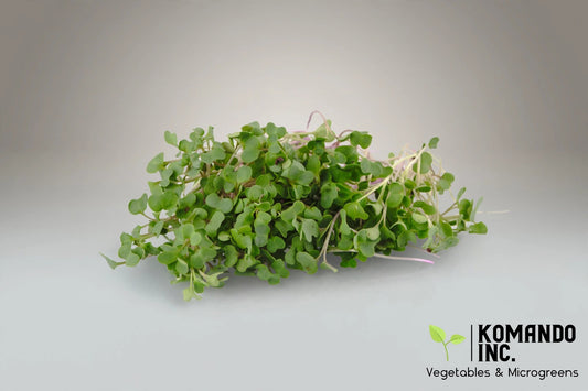 Broccoli Microgreens