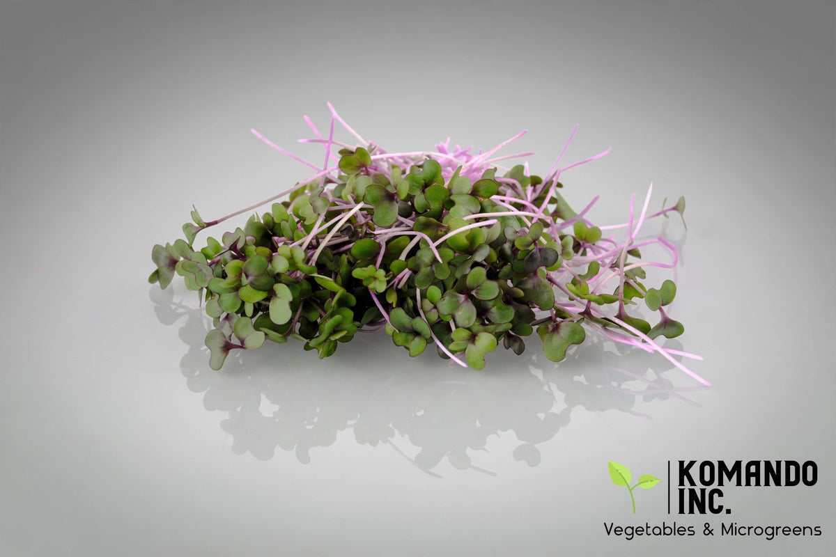 Cabbage Microgreens