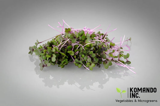 Cabbage Microgreens