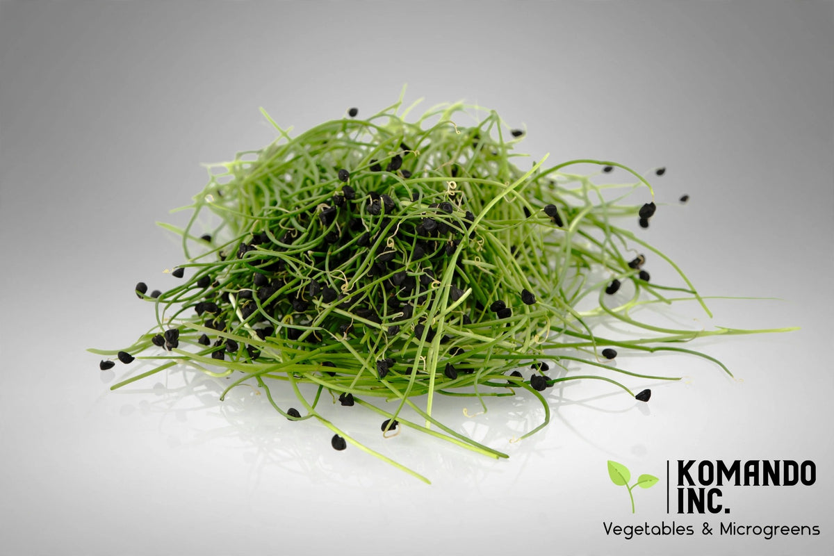 Onion Microgreens