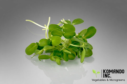 Sunflower Microgreens