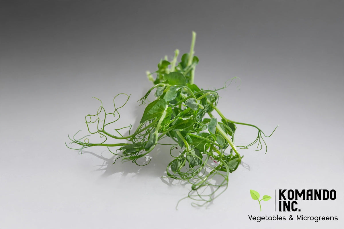 Trendil Peas Microgreens