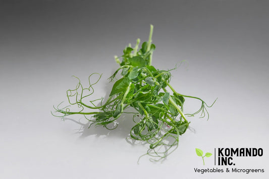 Trendil Peas Microgreens