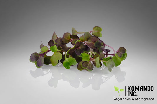 Purple Radish Microgreens