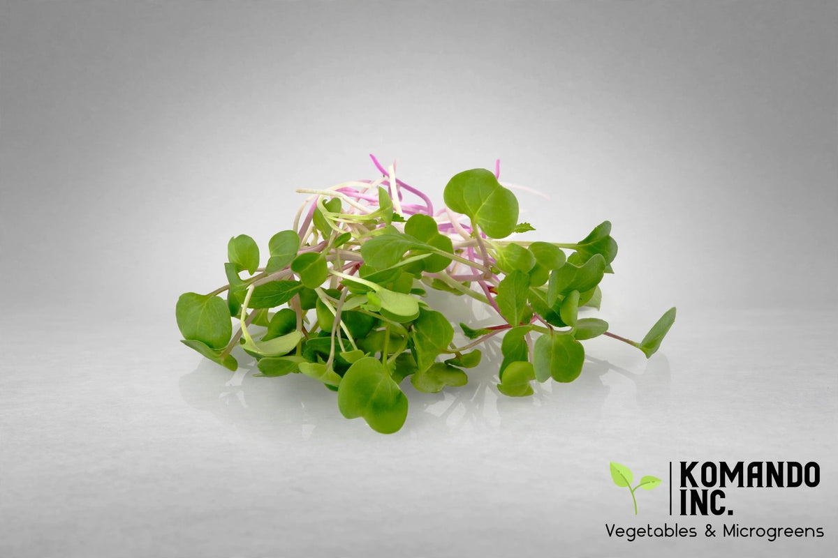 Radish Triton Microgreens