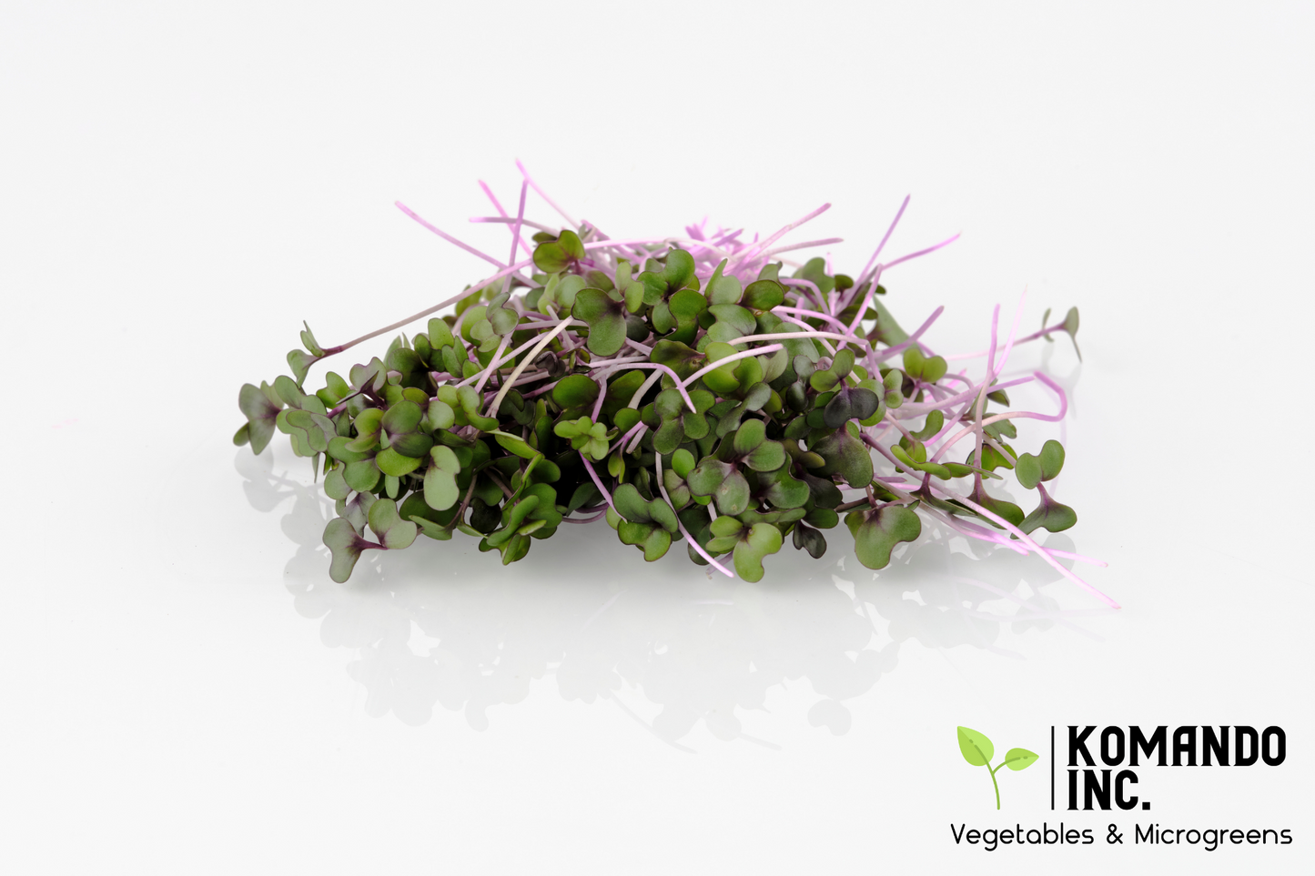 Cabbage Microgreens