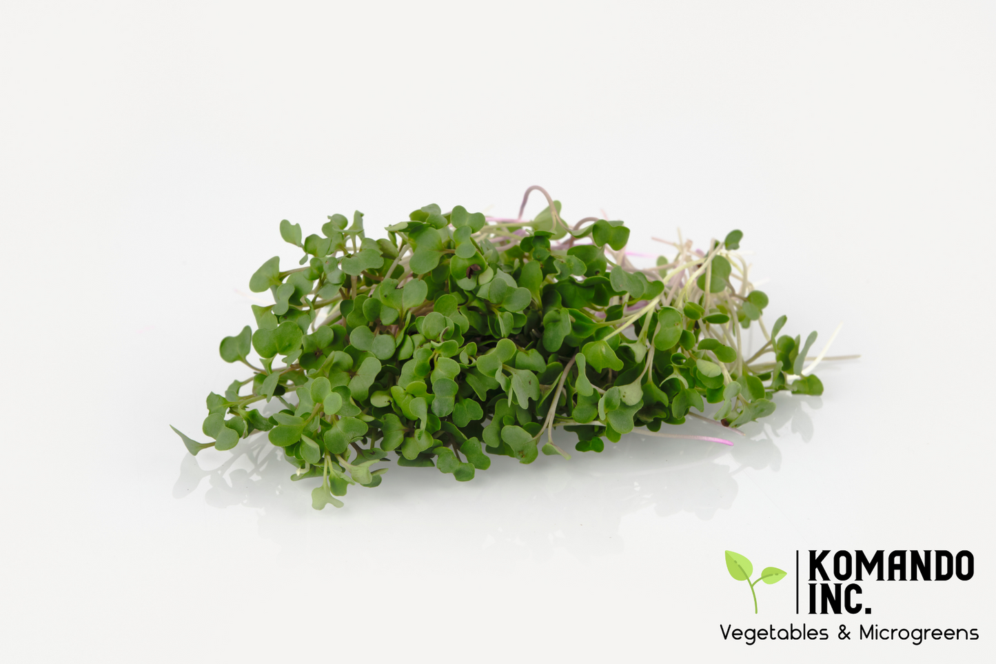 Broccoli Microgreens