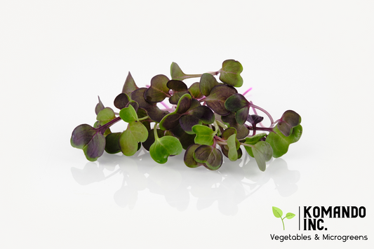 Purple Radish Microgreens