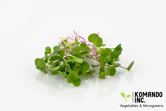 Radish Triton Microgreens